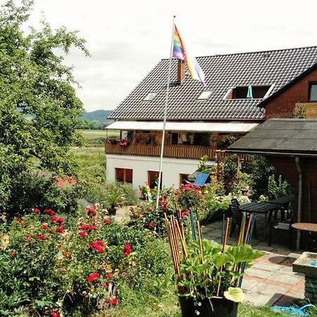 Ferienwohnung Mit Weserblick Und Kamin Hessisch Oldendorf Екстериор снимка